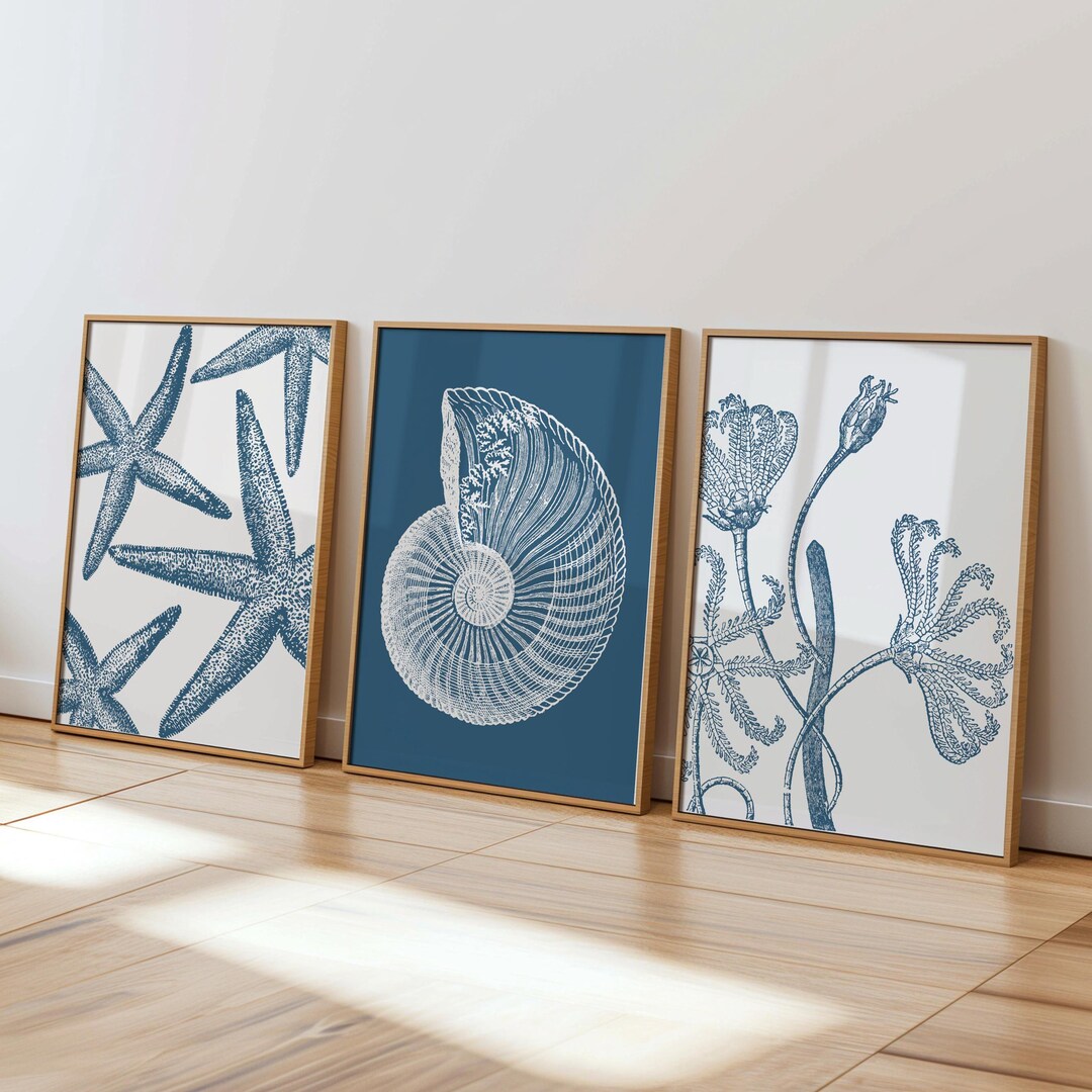 Coastal Wall Art Set of 3 - Navy Blue Shell and Starfish Print Set ...