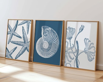 Kustmuurkunst, set van 3 - marineblauwe schelp- en zeesterprintset - digitale download