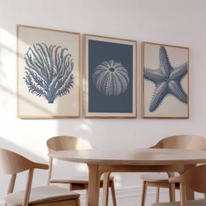 Küsten Wandkunst, 3er-Set Strand Prints, Korallen Prints, Blau Grau Kunstwerk, Strandhaus Dekor, Muscheln, Seeigel Print, printable Kunst
