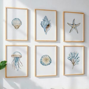 Puede incluir: Seis impresiones en acuarela enmarcadas con motivos marinos. Las impresiones incluyen imágenes de una concha, una caracola, una estrella de mar, una medusa, un erizo de mar y coral. La obra de arte es en tonos azules, marrones y blancos, con marcos de madera natural.