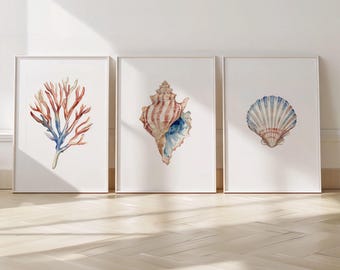 Watercolor Seashell Set - Coastal Bathroom Wall Art