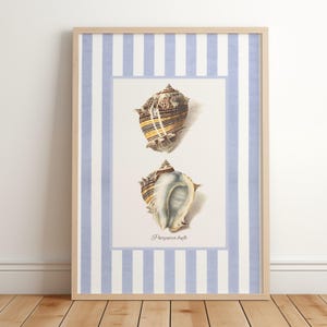 Seashell Print: Vintage Nautical Art, Blue Stripes (Digital Download)