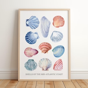 Muschel Poster, Küstendruck, Ostküste Beachy Wandkunst, druckbare Wandkunst, trendige nautische Wandkunst, Pastell Muscheln, Meereswelt Druck