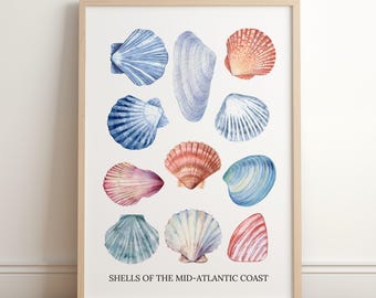 Watercolor Seashell Chart Print - Beach House Decor - Nautical Wall Art