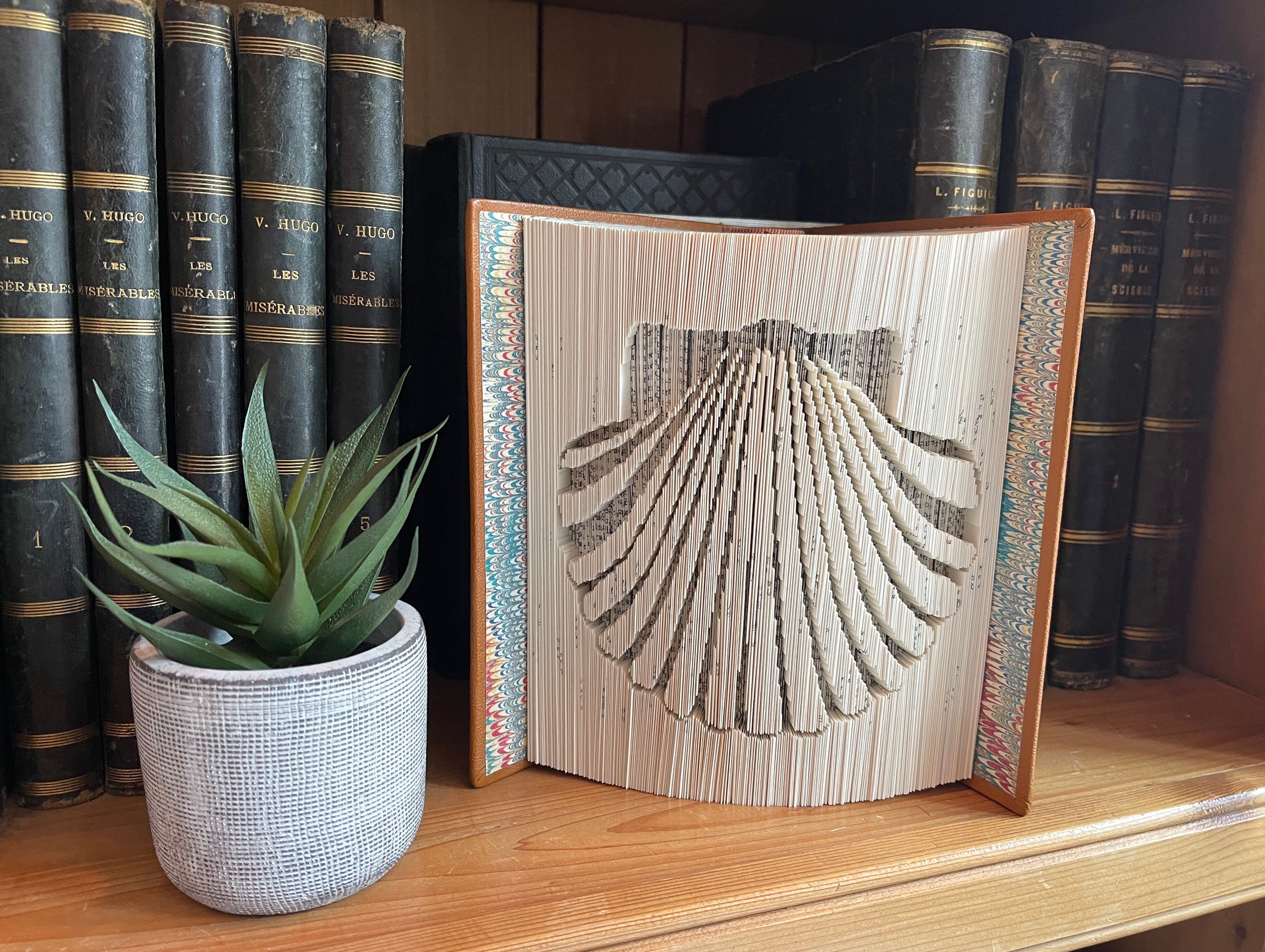 Livre Plié Coquille Chemin de Compostelle