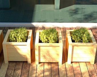 DIY Raised Planter Box Build Plans: Woodworking Project for Garden (PDF Download)