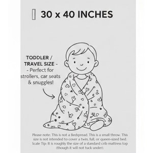 Classic Storybook Bear and Friends Blanket: 30x40 Polyester Fleece | True Friends Forever | Watercolor-Like Design | Lightweight and Thin image 2