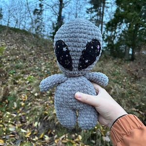 Può includere: Un peluche alieno grigio all'uncinetto con toppe nere per gli occhi con un motivo a stelle. L'alieno ha braccia e gambe piccole ed è tenuto contro uno sfondo sfocato all'aperto. Il peluche è realizzato con un filato morbido e strutturato.