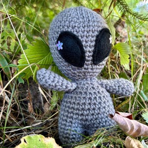 Puede incluir: Una muñeca alienígena de ganchillo gris hecha a mano con grandes ojos negros y pequeños detalles florales. El alienígena posa en un entorno natural al aire libre con hojas verdes y follaje marrón.