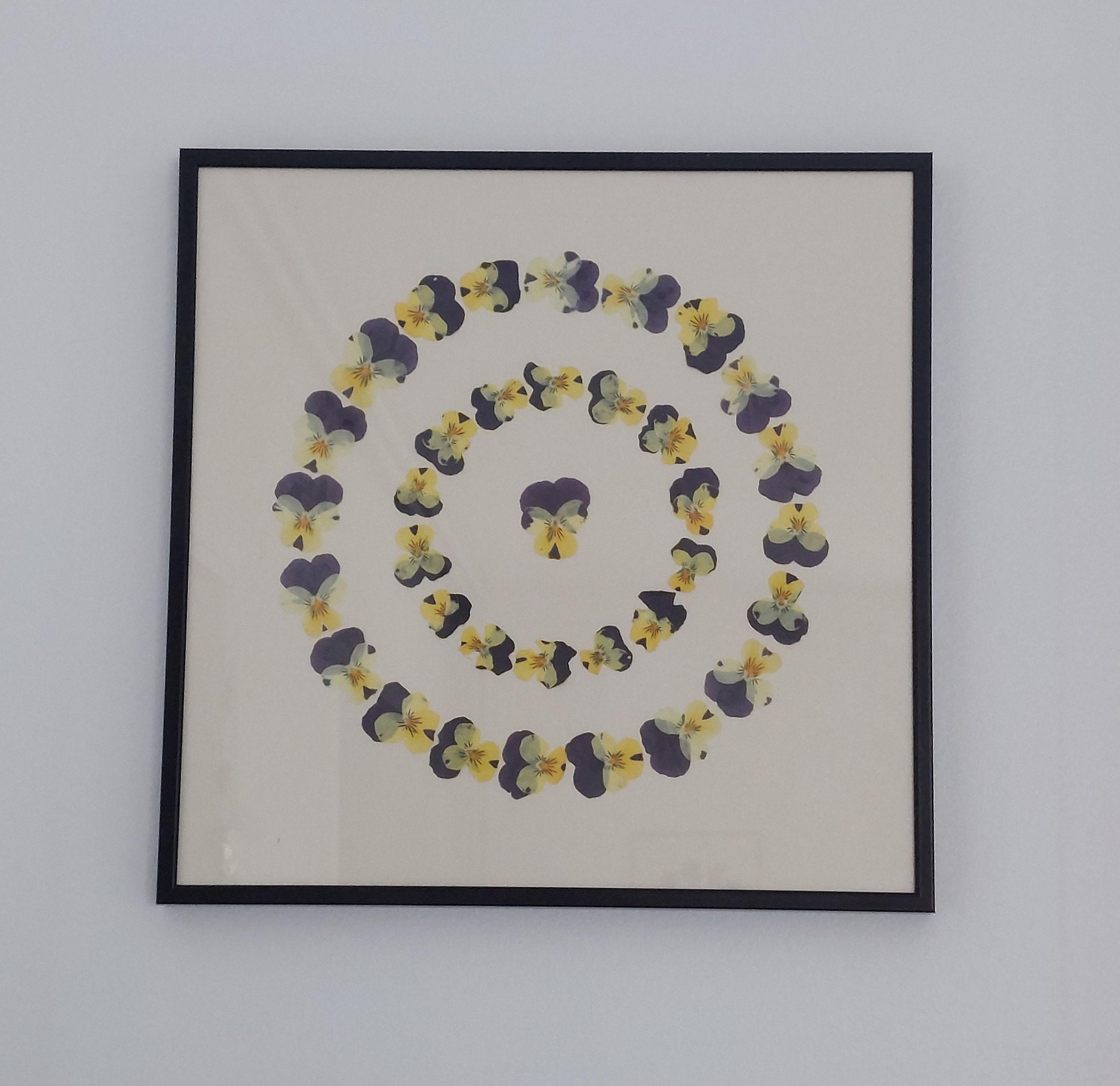 Herbier Ronde de Pensées