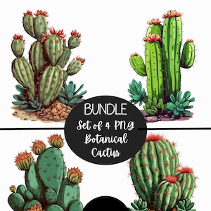 Cactus botanische bundel van 4 PNG, wilde westen westerse cactus plant illustraties, clipart bundel sublimatie, Instant Download, digitale download