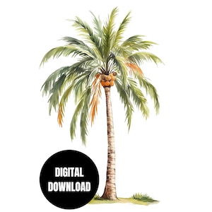 Palm Trees Watercolor PNG, Tropical Palm Tree, Summer Design, Sublimation Instant Download, Digital Download, Shirt Design, Graphic Art