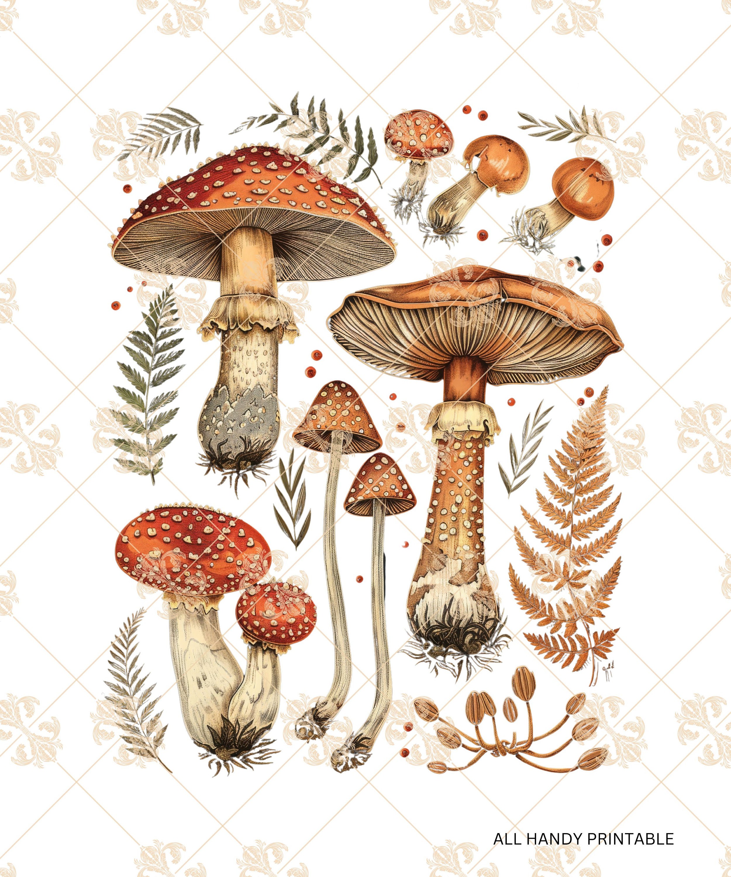 Cottagecore Fall Mushroom PNG Aesthetic Autumn Vibes Nature Botanical ...