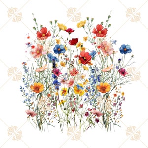 Op de afbeelding: Een aquarel van een boeket wilde bloemen in tinten rood, oranje, geel, blauw en roze. De bloemen zijn in een losse, natuurlijke stijl gerangschikt en de achtergrond is wit.