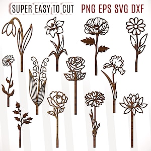 12 geboortemaand bloem Svg lasergesneden bestanden, bloembestanden voor Glowforge silhouet Cricut, Moederdag Svg, oma's Day Gift, bloem DXF
