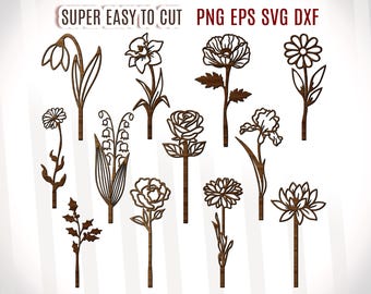 12 Birth Month Flower SVG Bundle, Wooden Flowers Cut Files (Digital Download)