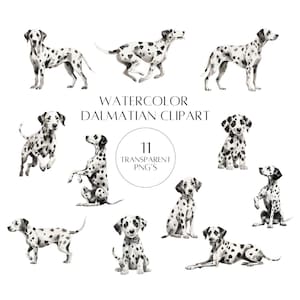 Dalmatian PNGS, Dalmatian Clipart, Watercolor Dalmatian Dog, Printable Watercolor clipart, Digital Dog Art, Dalmatian Art, Junk journal