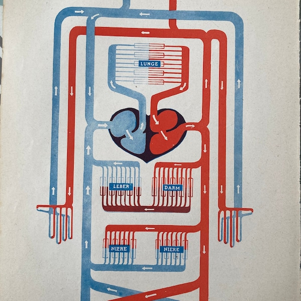 Bloodstream. Art. Medicine. Display board. Antique lithograph. Original. Vintage. Print. Seldom. Old print. 1957.