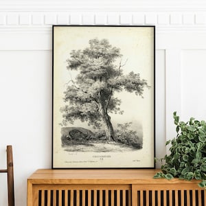 Antique Chestnut Tree Print: Botanical Sketch Wall Art (Digital Download)