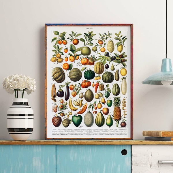 Kitchen Wall Art Print, Vintage Fruit Print, Kitchen Art, Kitchen Decor Botanical Art Larousse Print Fruits Poster Millot Poster