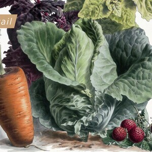 rustic vegetable kitchen prints | 3-piece wall art |... Vegetable Garden Kitchen Wall Art Set of 3 | Kitchen Decor | Vintage ...