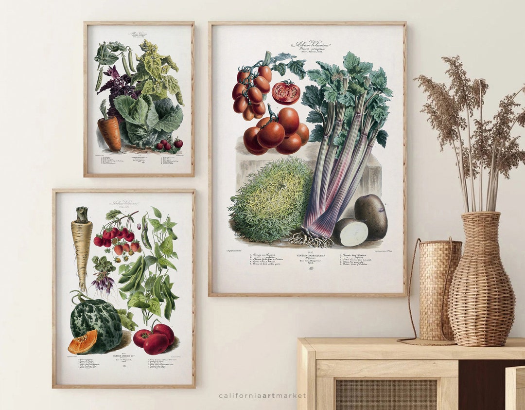 Vegetable Garden Kitchen Wall Art Set of 3 Kitchen Decor Etsy