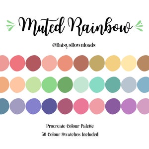 Muted Rainbow Procreate Colour Palette / Procreate Color Palette/ IPad Procreate Swatches/ Instant Download