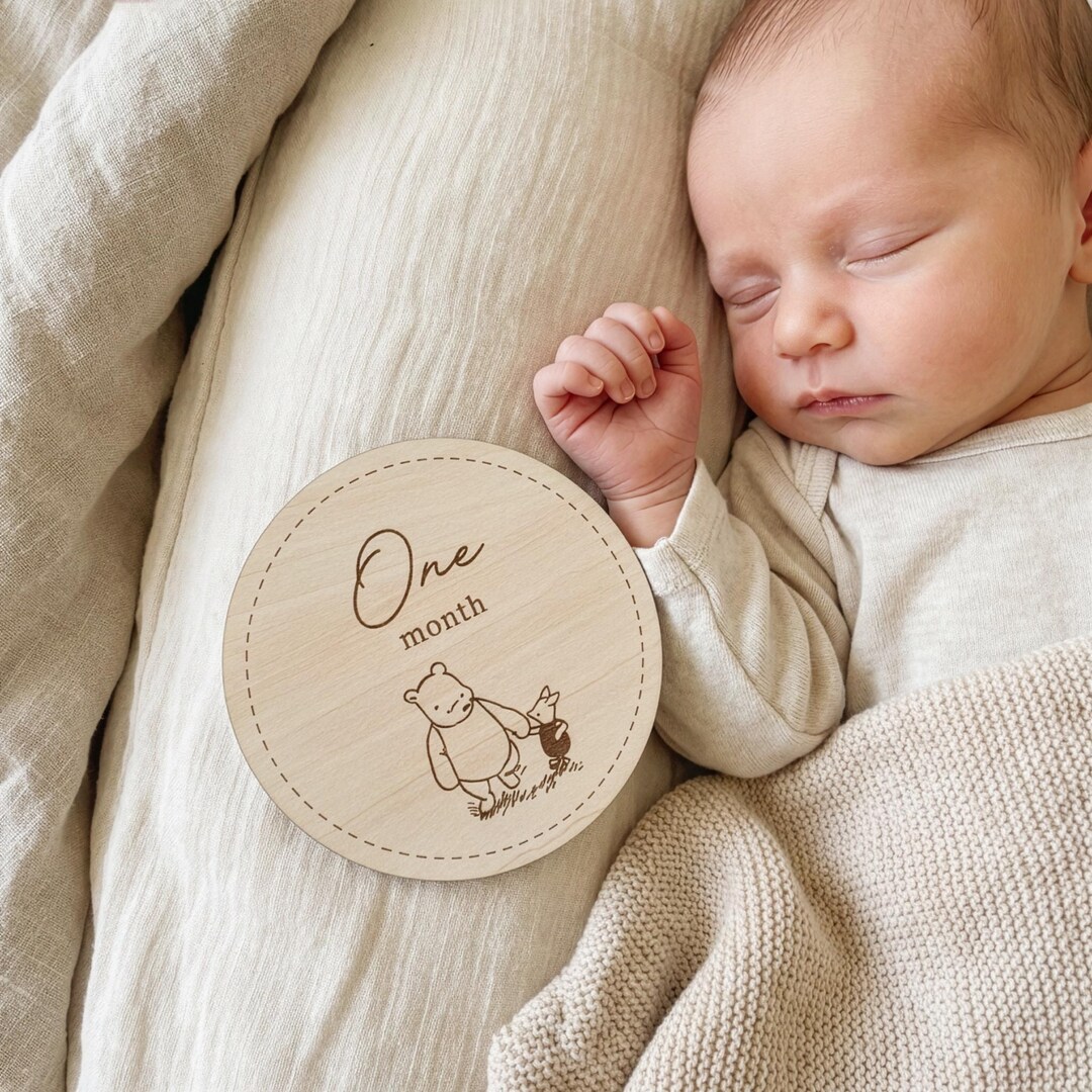 Winnie the Pooh Baby Milestone Discs - Engraved Wood - 12 Pieces - Etsy