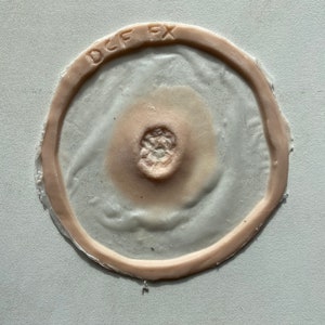 Op de afbeelding: Een prothetische wond met een cirkelvormig ontwerp. Het midden is een getextureerd, huidkleurig gebied, omgeven door een lichter, doorschijnend materiaal. Een verhoogde, vleeskleurige ring omcirkelt het ontwerp. De tekst "DCF FX" is in reliëf op de ring.