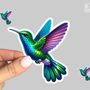 Hummingbird Sticker - Cute Bird Vinyl Decal, Nature Lover Gift, Colorful Laptop Sticker