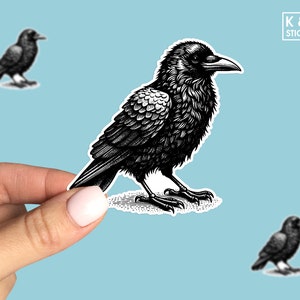 Crow Sticker - Detailed Bird Vinyl Decal for Nature Enthusiasts