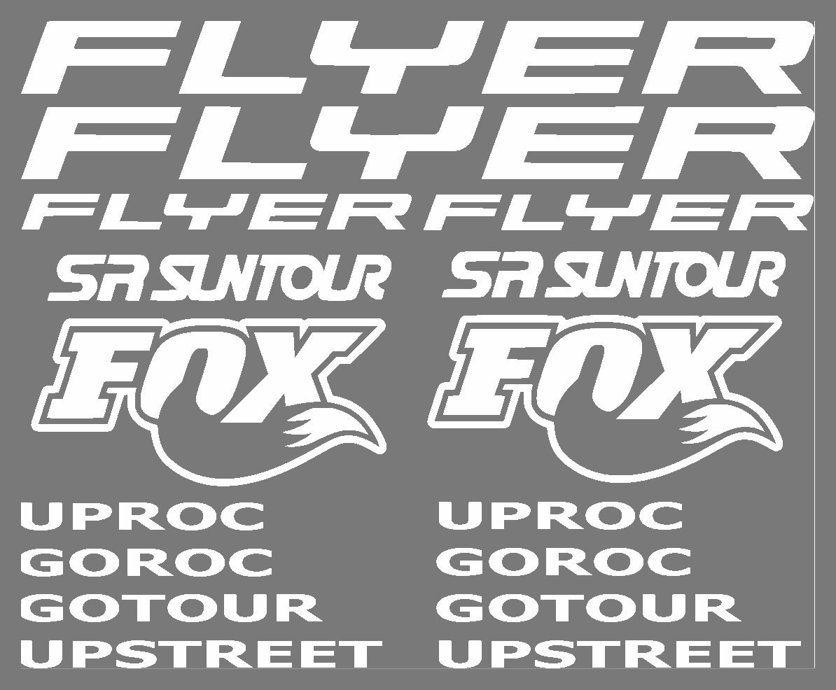 Flyer Electric Bicycle Frame Sticker Set Satz Aufkleber Fahrrad Sport Mtb  Tuning Ensemble D'autocollants De Cadre De Vélo Réglage Stickers - Etsy  Sweden, image size:1194x986