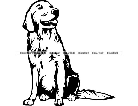 Golden Retriever Dog Breed Sit Sitting Animal Pet Canine Pup Puppy Doggy  Pet Animal Pedigree Purebred Company Logo Design JPG PNG SVG Cut