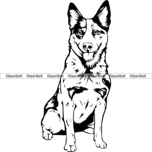 Op de afbeelding: Zwart-witte silhouet van een glimlachende Australian Shepherd hond die met gekruiste poten zit. De hond heeft een korte, gladde vacht en een lange staart.
