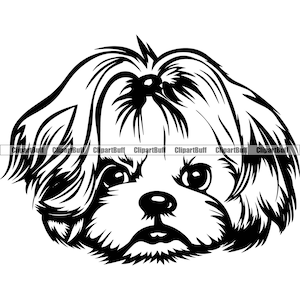 Shih Tzu Hond Ras Gezicht Hoofd Dier Huisdier Hond Pup Puppy Hond Huisdier Huisdier Ras Ras ras raszuivere trainer bedrijf Art Logo Ontwerp JPG PNG SVG Cut
