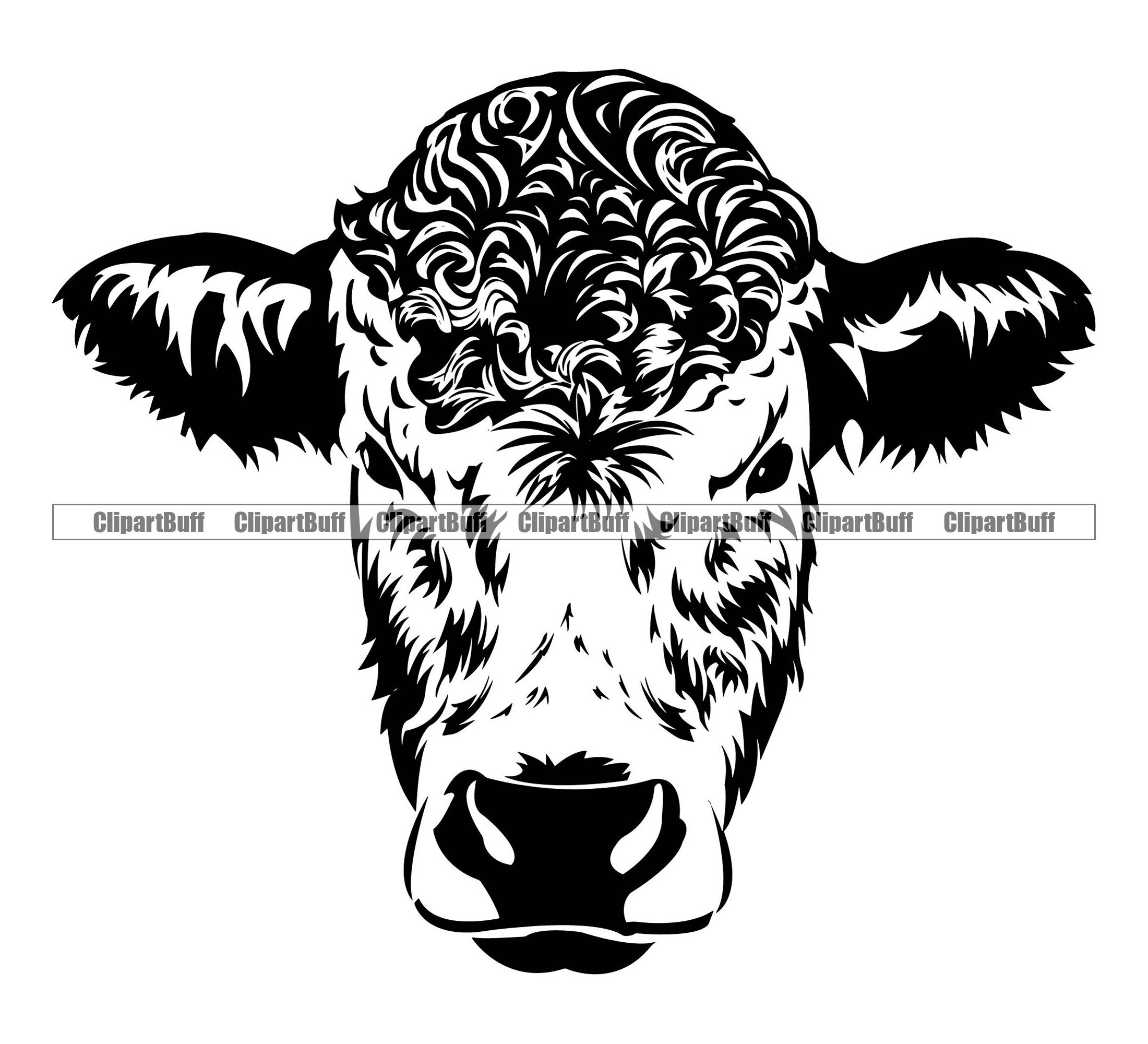 Cow Head Beef Heifer Animal Face Farm Dairy Wild Milk Barn Etsy