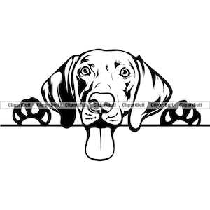Weimaraner Hondenras Dier Hond Hond Pup Puppy Doggy Pet Dier Stamboom Raszuivere Hond Training Company Art Logo Ontwerp JPG PNG SVG Cut