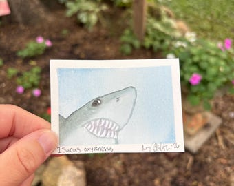 ACEO Original Hand-Painted ‘Shark Selfie’ Watercolor: Shortfin Mako Shark  (2.5x3.5”)
