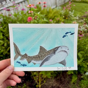 Tiger Shark Watercolor Painting: Ocean Art, Biology Gift, Hand Painted