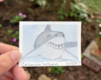 ACEO Original Hand-Painted ‘Shark Selfie’ Watercolor: Great White Shark  (2.5x3.5”)