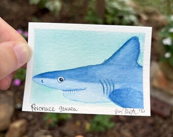 ACEO Original Hand-Painted ‘Shark Selfie’ Watercolor: Blue Shark #2 (2.5x3.5”)