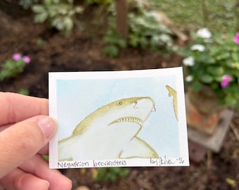 ACEO Original Hand-Painted ‘Shark Selfie’ Watercolor: Lemon Shark  (2.5x3.5”)