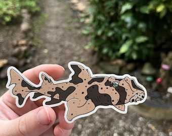 Horn Shark Waterproof Vinyl Decal | Ocean Sticker | Gifts for Ocean Lovers | Biology | Scuba Diver