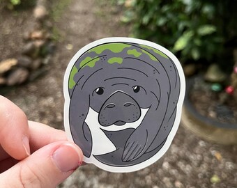 Manatee Waterproof Vinyl Decal | Ocean Sticker| Gifts for Ocean Lovers | Biology | Scuba Diver