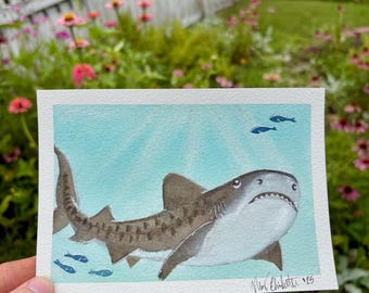 Hand-Painted Tiger Shark Watercolor: Ocean Art, Biology Gift