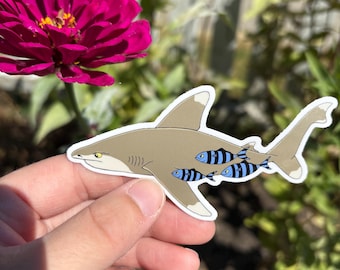 Oceanic Whitetip Shark Sticker: Waterproof Vinyl Decal