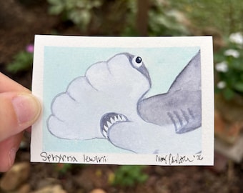 ACEO Original Hand-Painted ‘Shark Selfie’ Watercolor: Hammerhead Shark  (2.5x3.5”)