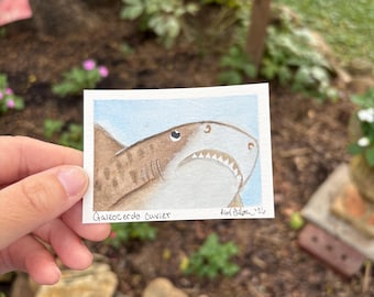 ACEO Original Hand-Painted ‘Shark Selfie’ Watercolor: Tiger Shark  (2.5x3.5”)