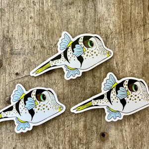 K&ouml;nnte beinhalten: Drei wei&szlig;e, schwarze und gelbe Kugelfisch-Aufkleber mit blauen Flossen und schwarzen Augen. Die Aufkleber befinden sich auf einem Holzgrund.