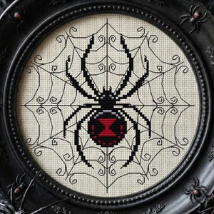 May include: A framed cross-stitch featuring a black widow spider in a web design. The spider has a red hourglass marking on its abdomen. The frame is black, ornate, and round, with small spider accents. The background is a dark, textured fabric.